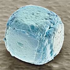 This Is What A Grain Of Salt Looks Like Under An Electronic Microscope Scanning Electron Micrograph Electron Microscope Microscopic Images
