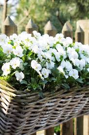 Weihnachtsladchen Tuin Mand Tuin Foto Tuin