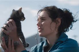 Image result for Bright White 1992 Sundance