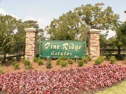 Maybe you would like to learn more about one of these? Pine Ridge Homes For Sale In Pine Ridge Estates Beverly Hills Florida Real Estate Darlene Gottus Realtor