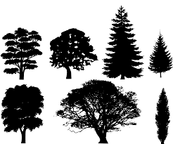 Free Free 70 Crown Shape Svg SVG PNG EPS DXF File