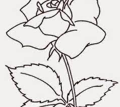 7633 bunga bunga jasmine plum hitam putih cawangan bunga kelopak. Gambar Bunga Cantik Hitam Putih