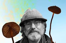 Psilocybe stametsii: The New Shroom Honoring Paul Stamets