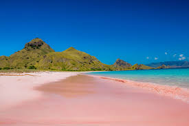 We did not find results for: 6 Pantai Pink Paling Indah Di Dunia Salah Satunya Di Indonesia Reservasi Travel Blog