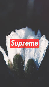 Pin By Archie Douglas On Hypebeast Wallpapers Supreme Wallpaper Supreme Supreme Iphone Wallpaper