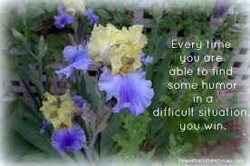 Some Inspiration For Us All In 2020 Flower Patch Monday Inspiration Pretty Flowers