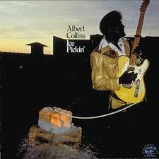 Image result for Albert Collins