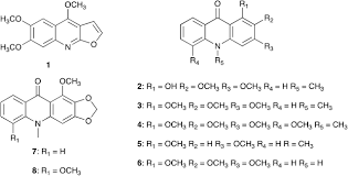 Image result for Vepris bremekampii