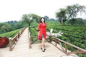 We did not find results for: Kebun Teh Wonosari Utara Malang Yang Memanjakan Mata