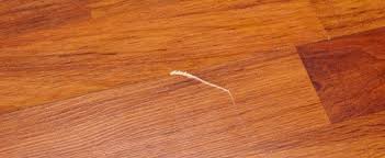 How To Fix Scratches On Laminate Flooring With Images Laminate Flooring Flooring Wood Laminate Flooring