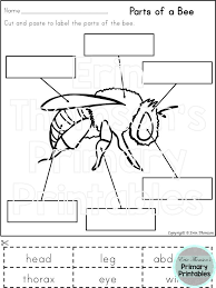 Pin On Elementary Science