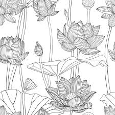 Linear Seamless Pattern Lotus Flower Wall Mural Pixers We Live To Change In 2020 Lotus Flower Art Flower Drawing Flower Art Drawing