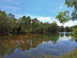 Tasik kenyir(terengganu),tasik pedu(kedah) dan tasik temenggor(perak). Aktiviti Camping Campervan Berlatarbelakang Gunung Ledang Tarikan Terbaru Di Kem Tasik Biru Verst Backpackerz