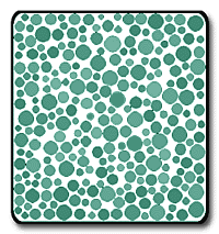 Most color blind tests ask you to identify an image, based on the ishihara color test. Color Vision Ask A Biologist