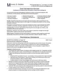 Chief Information Officer Cio Job Resume Examples Resume Examples Architect Resume