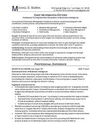 Typical resume examples for this position showcase activities like protecting information, training employees on security issues, collaborating with information technology managers, installing and. Chief Information Officer Cio Resume Examples Job Resume Examples Architect Resume Sample