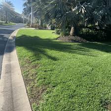 Read real reviews and see ratings for cape coral, fl lawn care services for free! Sherlock Homes Pest Control Irrigation Cape Coral Fl