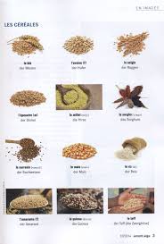 Les Cereales Espanol