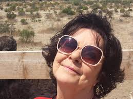 Karen Michele Stout's Obituary