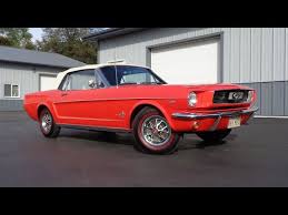 Image result for Signal Red 1955 Austin