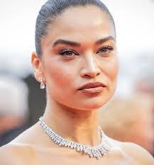 Nancy Daines's Instagram, Twitter & Facebook