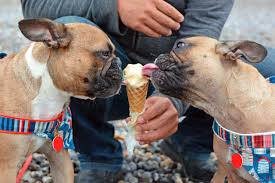 Maybe you would like to learn more about one of these? Dog Friendly Bars Restaurants And More Near You Kqed