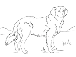 Keep your kids busy doing something fun and creative by printing out free coloring pages. Golden Retriever Coloring Pages Best Coloring Pages For Kids