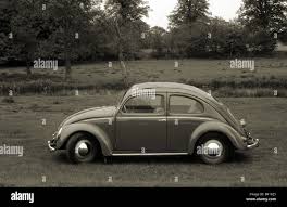 Image result for Silver Gray 1951 Beetle