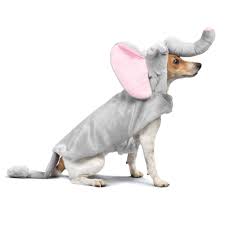 Thrills And Chills Halloween Elephant Pet Costume Size X