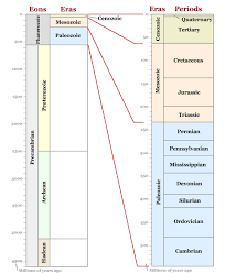 4 2 2 Geological Timescale Siyavula Life Sciences Grade