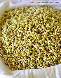 How To Make Sprouts At Home Moong Bean Sprouts Green Gram Sprouts Recipe How To Make Sprouts Vegan Meal Plans Bean Sprouts