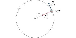 Risoluzione degli esercizi 11 (pag. Momento Angolare Openprof Com