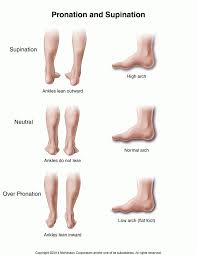 Pronation Of Foot Google Search Pronation Hip Flexor Foot Health