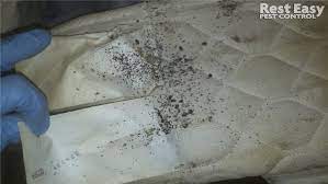Opens in 15 h 23 min. Rest Easy Pest Control Resteasypest Profile Pinterest