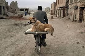 The World S Ride Kabul Afghanistan Photo By Steve Mccurry 2002 Steve Mccurry Steve Mccurry Photos Steve