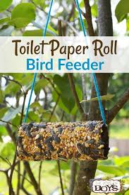 Bird Feeder Crafts For Kids Toilet Paper Roll Bird Feeder Easy Camping Craft Bird Feeders Bird Feeders For Kids To Make Bird Feeder Craft