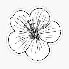 Maybe you would like to learn more about one of these? Minimalist Cherry Blossom Gifts Merchandise Redbubble