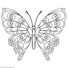 There's something for both kids and adults! Free To Download Butterfly 7 Coloring Pages Coloring Coloringbook Coloringpages Butterfly Butterfly Coloring Page Coloring Pages Animal Coloring Pages