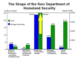 chart the shape of the new department of homeland security