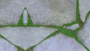 Landscaping 101: Ground Covers To Plant Between Pavers - Melissa Penfold