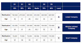 Comprehensive Profile Of A Successful Cfo Pedersen