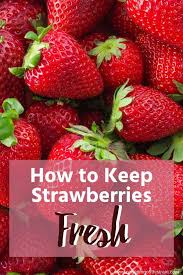You could just keep your fresh strawberries from the store in the refrigerator in the original package. How To Keep Strawberries Fresh How To Keep Strawberries Fresh Fresh Strawberry Organic Recipes Healthy