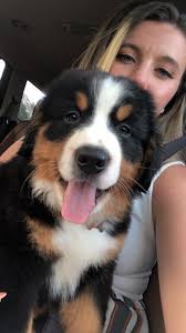 Hailey Spence (@spence_82)