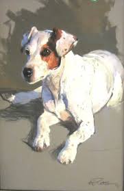 Pin On Jack Russells