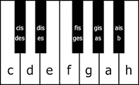 Klaviertastatur jeder block umfasst sieben tasten die jeweils für eine note stehen. Klaviatur Die Schwarzen Tasten Klavierspielen Lernen Noten Lernen Klavier Lernen