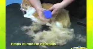 pin on kedi kopek aksesuar
