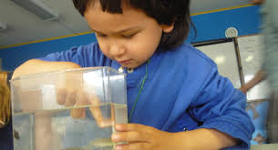 Pricing — Brooklyn Apple Academy