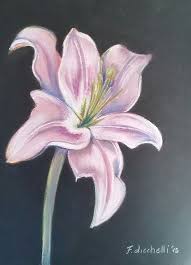 Studio Giglio Francesca Licchelli Flower Drawing Soft Pastels Drawing Pastel Art