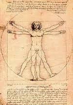 Résultat de recherche d'images pour "nombre d'or corps humain"