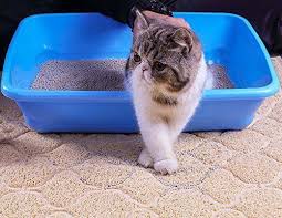 Cat Litter Mat Box Extra Large Track Best Mats For Cats Kitty Boxes No Bpa Pet Innopaw Cat Litter Mat Cat Box Litter Mat